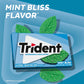 Trident Mint Bliss Sugar Free Gum, 12 Packs of 14 Pieces (168 Total Pieces)
