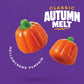 Pumpkin Candy 24 Oz - Mello Creme Pumpkins for Halloween and Fall