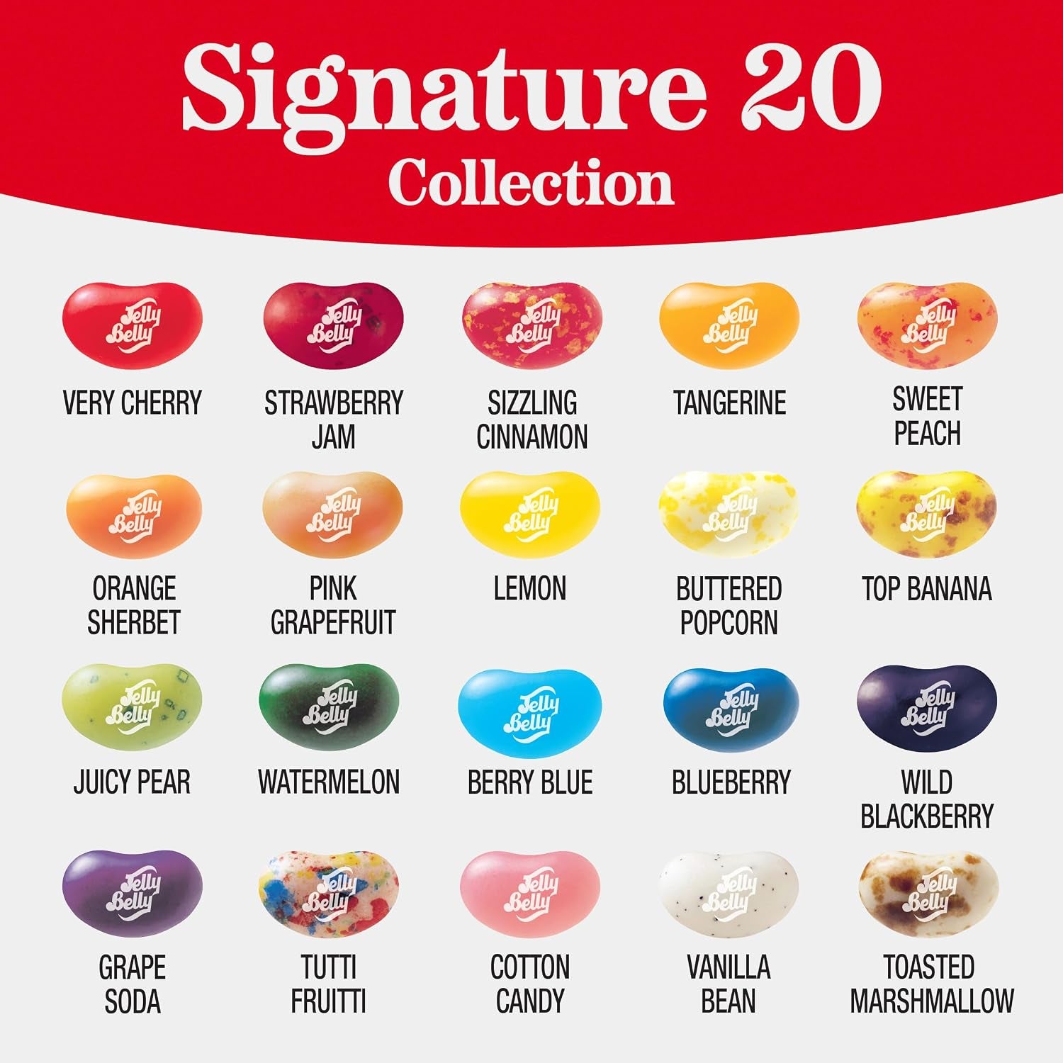 Jelly Belly Signature 20 Collection Jelly Beans - 8 Oz Pouch Bag