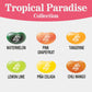 Jelly Belly Tropical Paradise Jelly Bean Collection - 8 Oz Pouch Bag