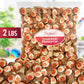Peanut Butter Miniature Cups, 2Lb Pack of Peanut Butter Cups Bulk, Perfect Reescups 