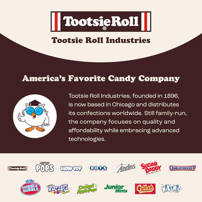 Tootsie Roll Child's Play Candy Favorites - 5 Pounds of Individually Wrapped Party Candy
