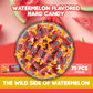 Watermelon Jolly Ranchers Hard Candy – Original Flavor – 1 LB Bulk Bag (Approx. 75 Pieces)
