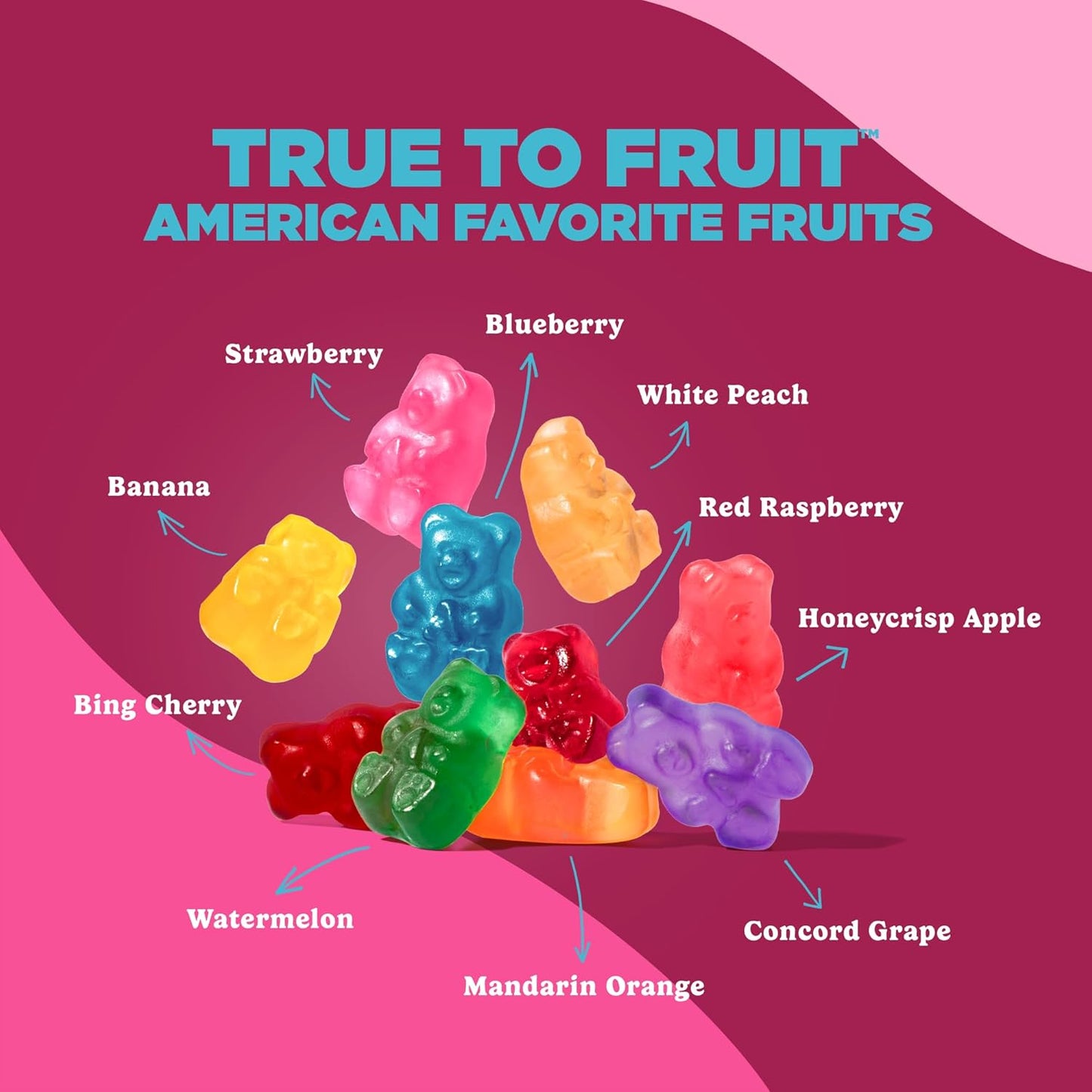 Albanese True to Fruit American Favorite Fruits Gummies | 25Oz Candy Bag | Soft and Chewy Gummy Bears, 10 Natural Flavors and Colors