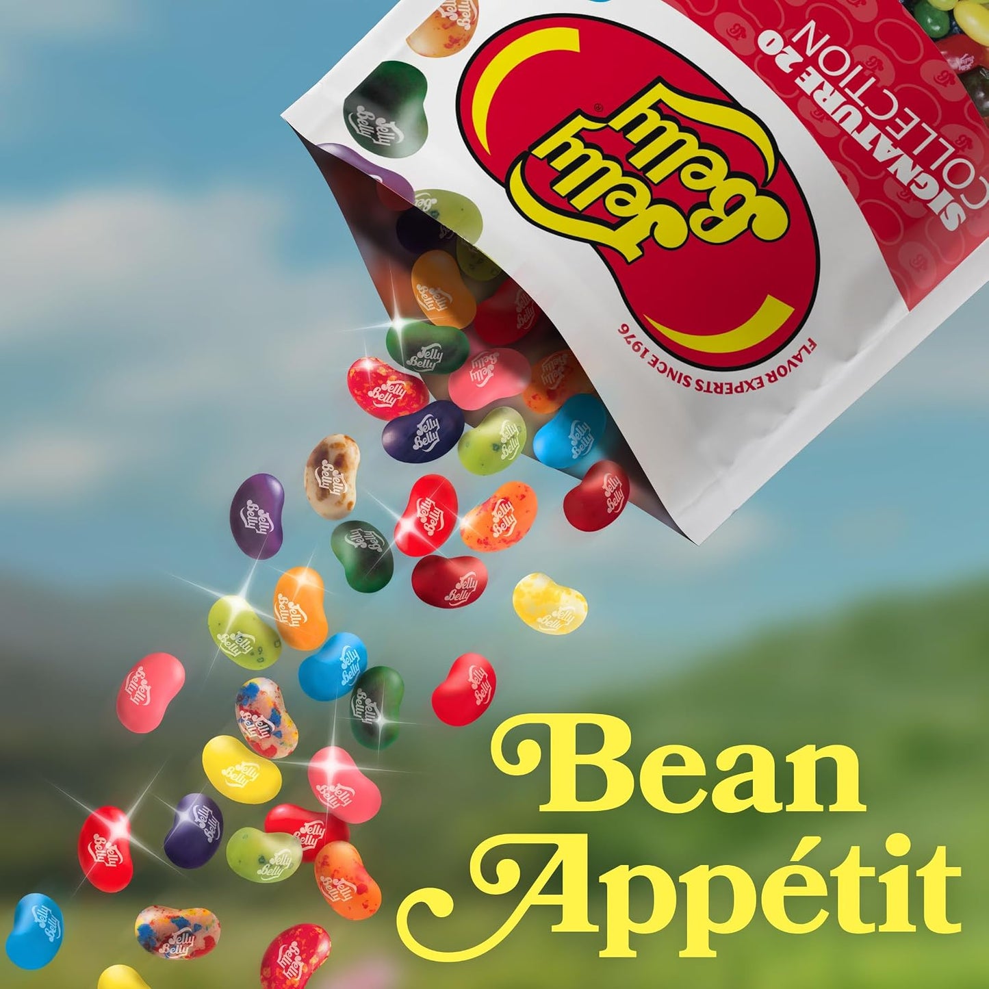 Jelly Belly Signature 20 Collection Jelly Beans - 8 Oz Pouch Bag