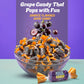 Grape Jolly Ranchers Hard Candy – Original Flavor – 1 LB Bulk Bag (Approx. 75 Pieces)