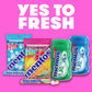 Mentos Chewy Mint Candy Roll, Fruit, 14 Pieces per Roll, 15 Count Pack