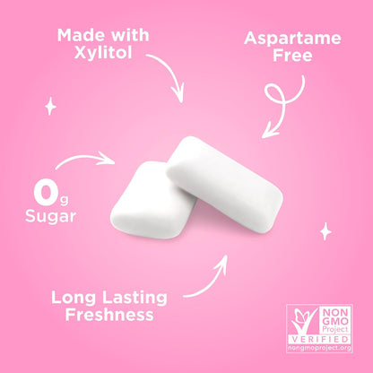 PUR Gum | Aspartame Free Chewing Gum | 100% Xylitol | Natural Bubblegum Flavored Gum, 55 Pieces (Pack of 1)