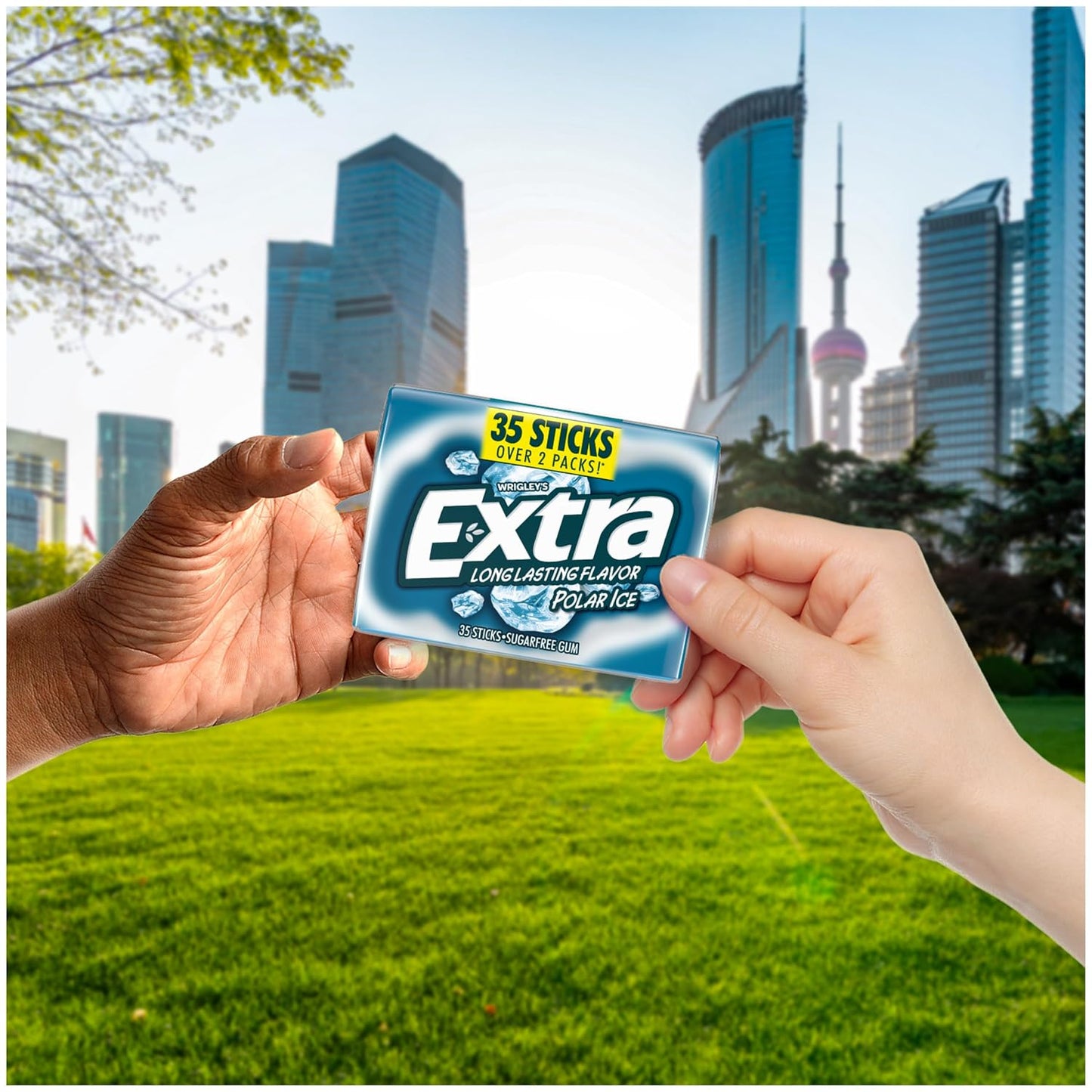 EXTRA Gum Polar Ice Sugarfree Mint Chewing Gum Mega Packs - 35 Count, 6 Pack