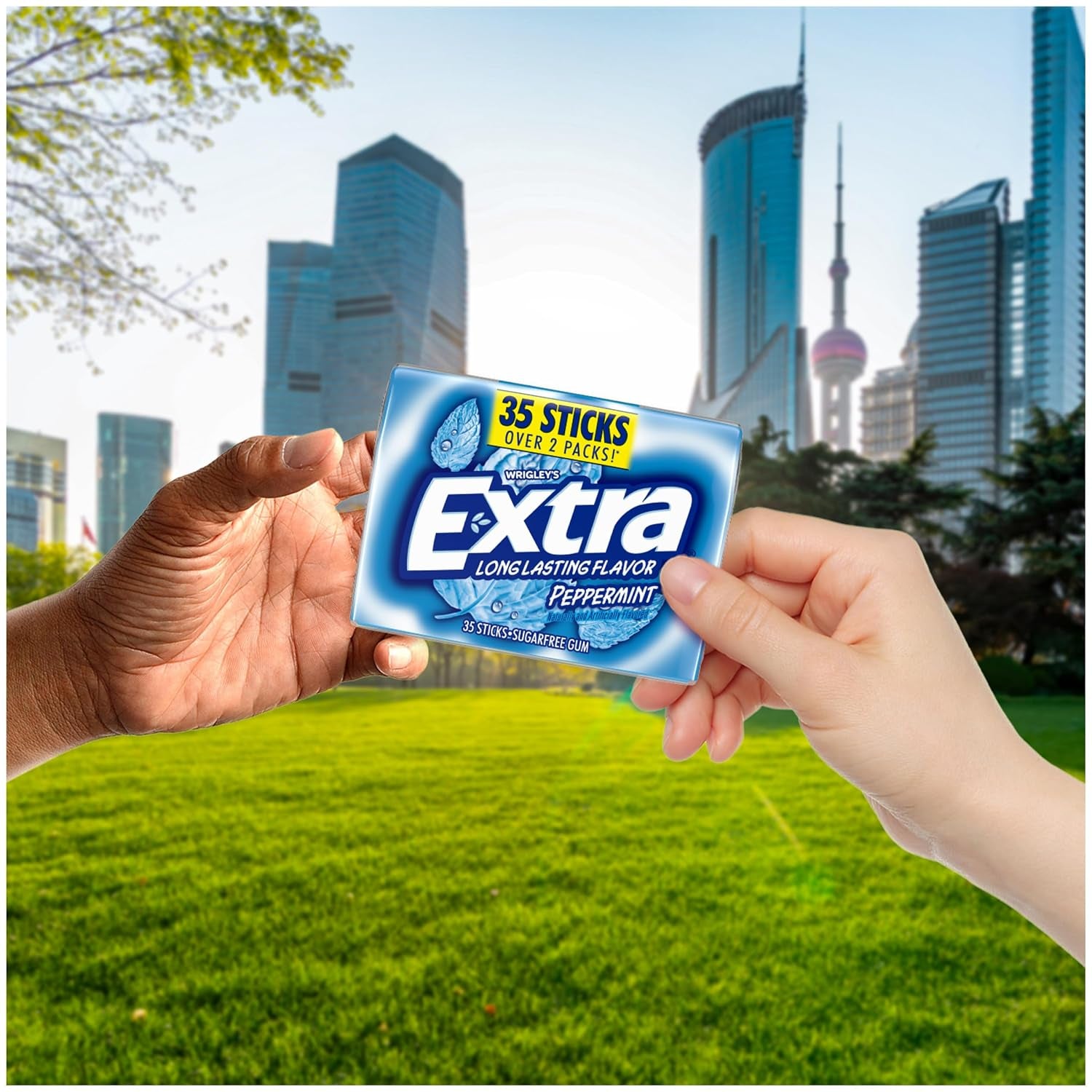 EXTRA Peppermint Sugar Free Chewing Gum Mega Pack - 35 Stick, 6 Pack