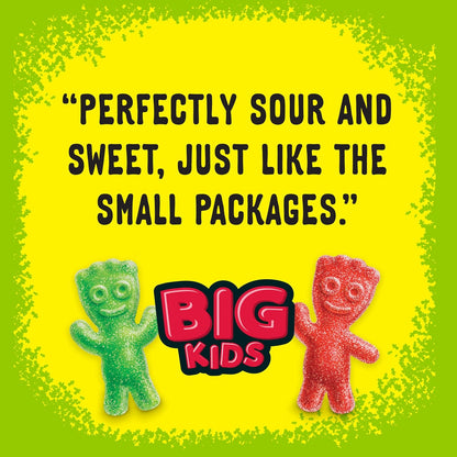 Sour Patch Kids, Big Kids Soft and Chewy Gummy Candy, Share Size, 12 Ounce