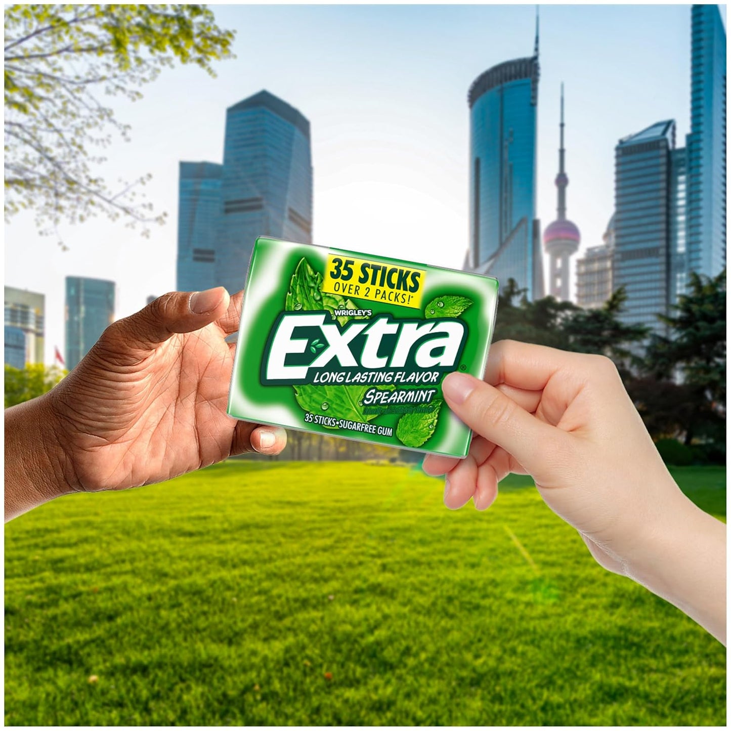EXTRA Spearmint Sugar Free Chewing Gum Mega Packs - 35 Stick (Pack of 6)