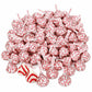 Candy Cane Kisses Peppermint Candy 2 LB Bag, Approx. 180 Individually Wrapped Pieces