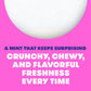 Mentos Chewy Mint Candy Roll, Fruit, 14 Pieces per Roll, 15 Count Pack
