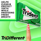 Trident Spearmint Sugar-Free Chewing Gum, 12 Packs of 14 Pieces (168 Total Pieces)