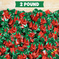 Strawberry Filled Hard Candy Bon Bons 2 Lbs Bulk Pack - Individually Wrapped Fruit-Filled Candy, Classic Strawberry Hard Candy for Office Treats, Parties, and Snacks