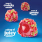 Nerds, Juicy Gummy Clusters, Strawberry Punch, Juicy and Gummy Candy, 1 Stand up Bag, for Snacking and Sharing, 7.2 Ounce